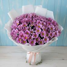 Букет цветов из:  Хризантемы в Сеченово